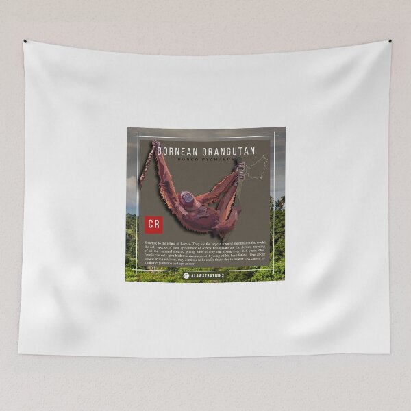 Item preview, Bornean Orangutan ( Pongo pygmaeus) designed and sold by Alawstrations.