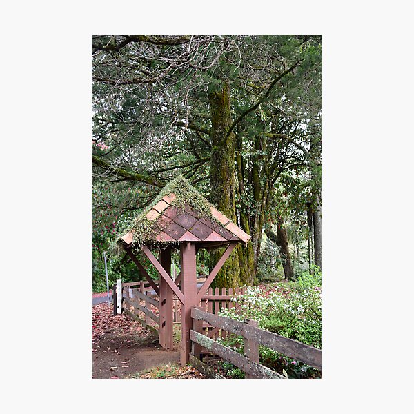 Item preview, ST. GEORGE  CHURCH,  MOUNT WILSON,  NSW. designed and sold by Phil Woodman.