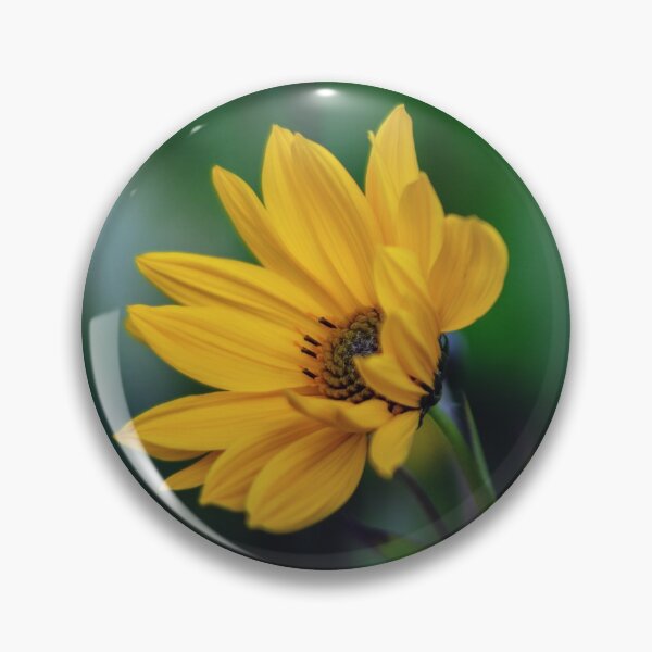 Item preview, Coreopsis. designed and sold by John Ray.