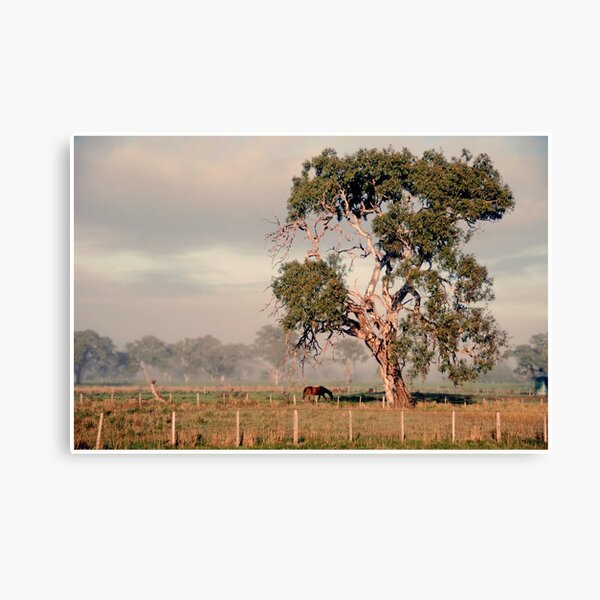 Item preview, Morning Grazing designed and sold by George Petrovsky.