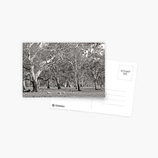 Item preview, Grazing amongst the Gum Trees designed and sold by George Petrovsky.