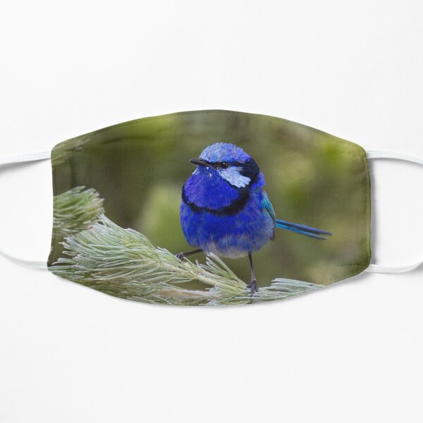 Splendid Fairy Wren Male Flat Mask