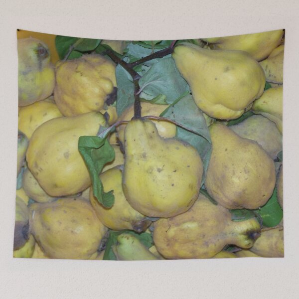 Item preview, Yellow quinces - yellow quinces designed and sold by Boscastle.
