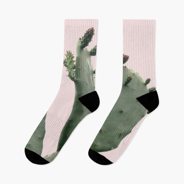 Item preview, Cactus designed and sold by Sasas Photography.