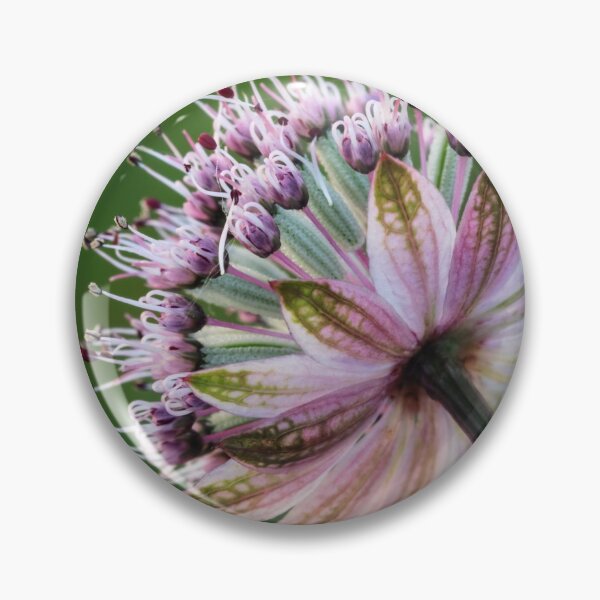 Item preview, 	Hattie's Pincushion designed and sold by John Ray.