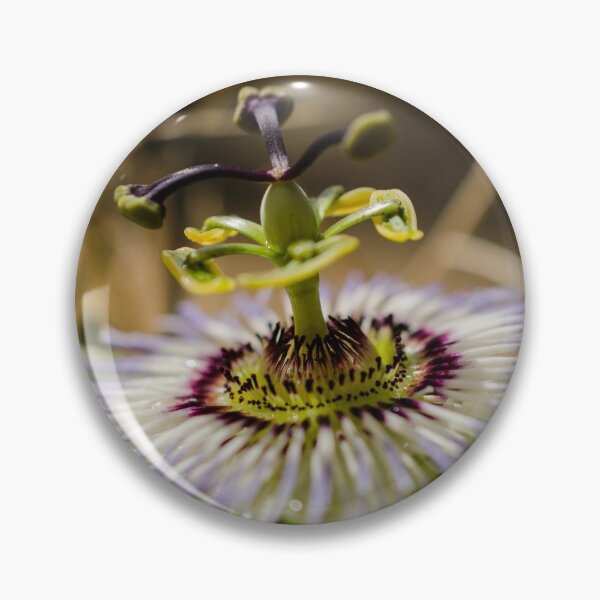 Item preview, Passion is a Flower designed and sold by janet reidman.