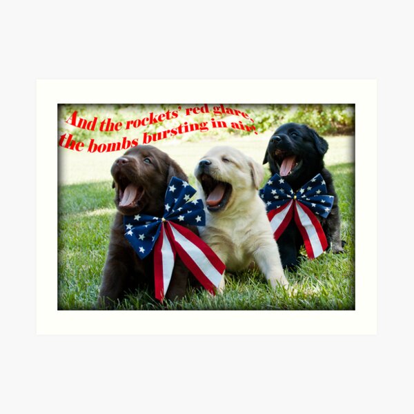 4th of July Trio! Art Print