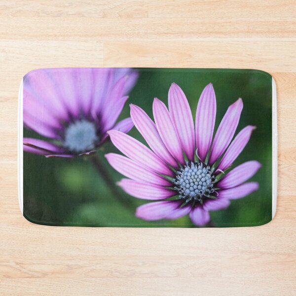 Item preview,  Osteospermum Purple Eyecatcher. designed and sold by John Ray.