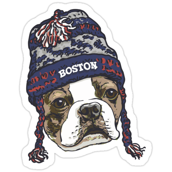 beanie boo boston terrier