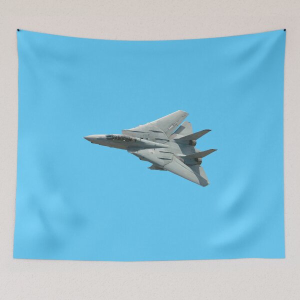 Item preview, F-14 Tomcat designed and sold by sibosssr.