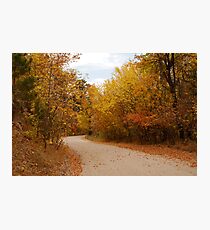 Thoroughfare into Fall Photographic Print