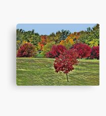 Natures Paint Brush Canvas Print