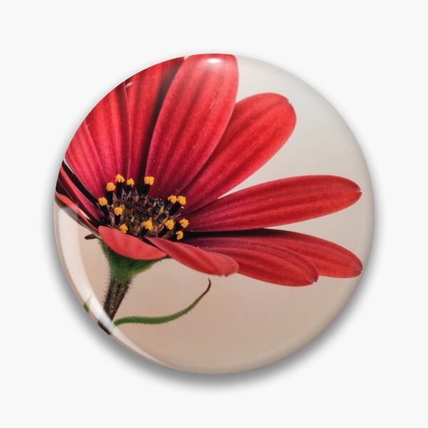 Item preview,  Red Osteospermum. designed and sold by John Ray.