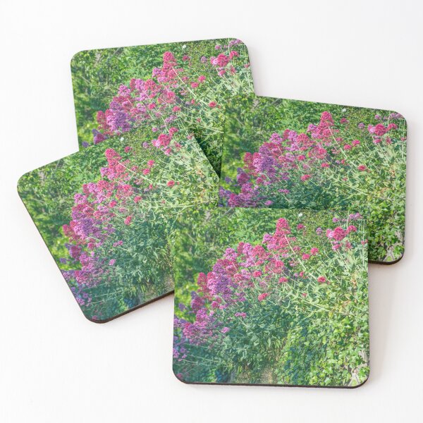 Item preview, A Garden Wall With Colourful Flowers in the Village of Kegworth designed and sold by phutball.