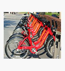 Just bicycles Photographic Print