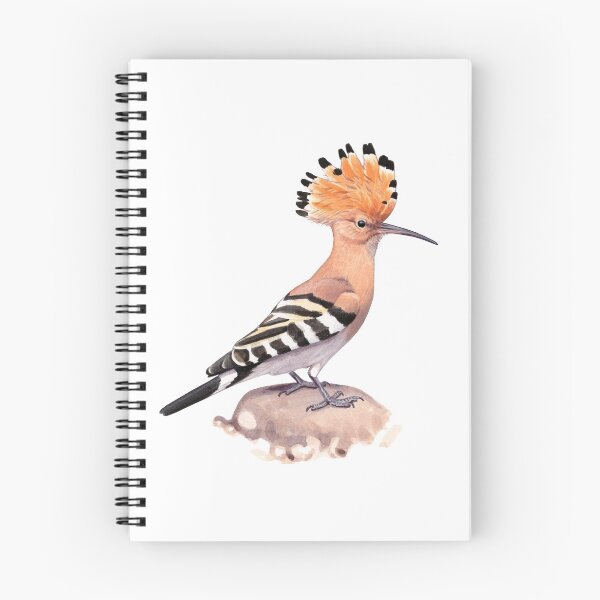 Item preview, Eurasian Hoopoe designed and sold by kokayart.