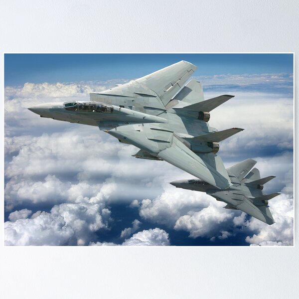 Item preview, F-14 designed and sold by sibosssr.