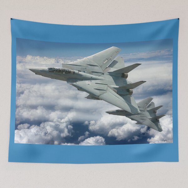 Item preview, F-14 designed and sold by sibosssr.