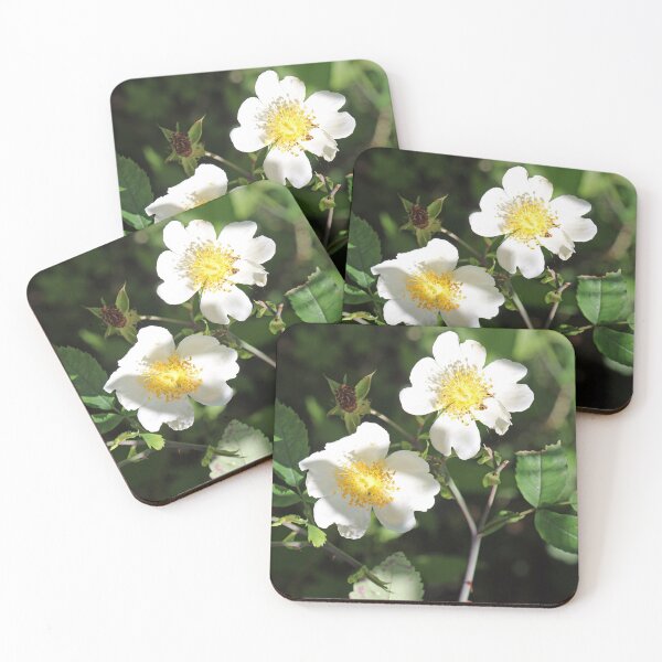 Item preview, Dog Rose Flowers designed and sold by pinkal.