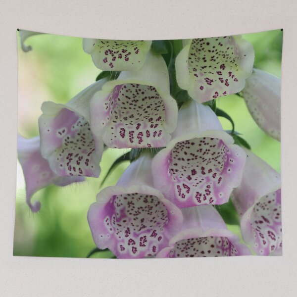 Item preview, Foxglove Beauty designed and sold by cuprum.