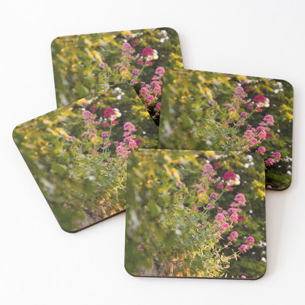 Item preview, #254 Wall Flowers Valerian in the Village of Kegworth designed and sold by phutball.