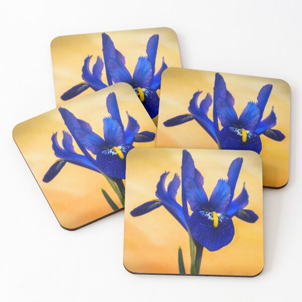 Item preview,  Iris Reticulata. designed and sold by John Ray.