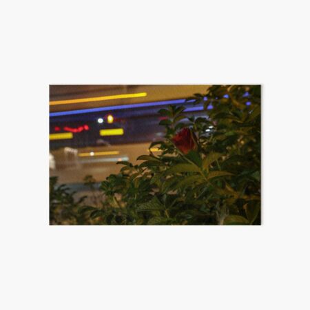 Artikel-Vorschau von Hör auf, die Blumen zu riechen, designt und verkauft von Terry Wilson.