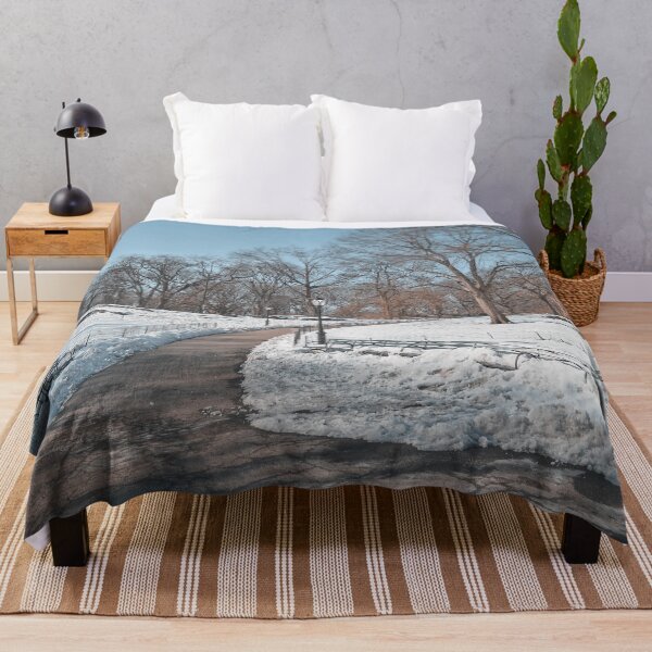 Item preview, Snowy Central Park designed and sold by julidescole.