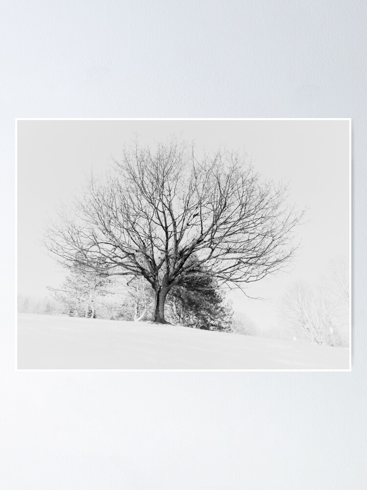 Winter Tree Silhouette Poster By Jalal Hammadeh Redbubble