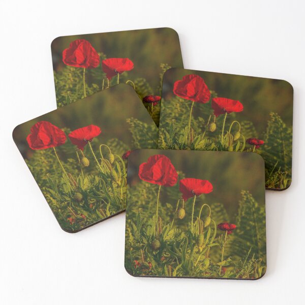 Item preview, Three poppies designed and sold by Jean-Luc Rollier.