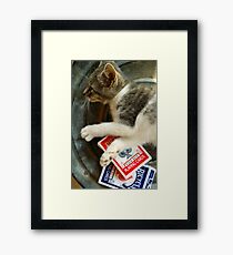 Card Playing Kitty Framed Print