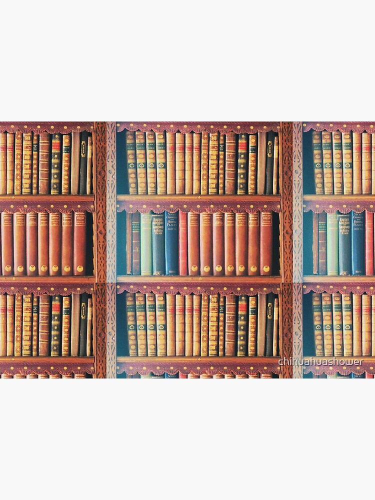 Library by chihuahuashower