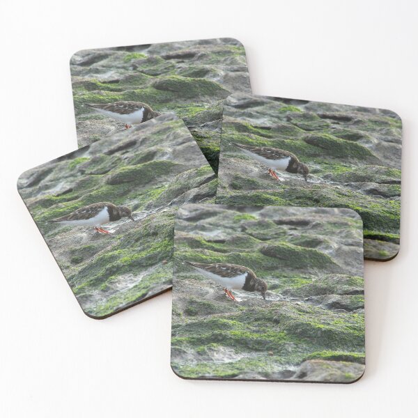 Item preview, Sandpiper Coastal Bird feeding on Seashore designed and sold by worldways.