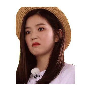 Red Velvet Irene Meme Face Sticker for Sale by Allthingskpop