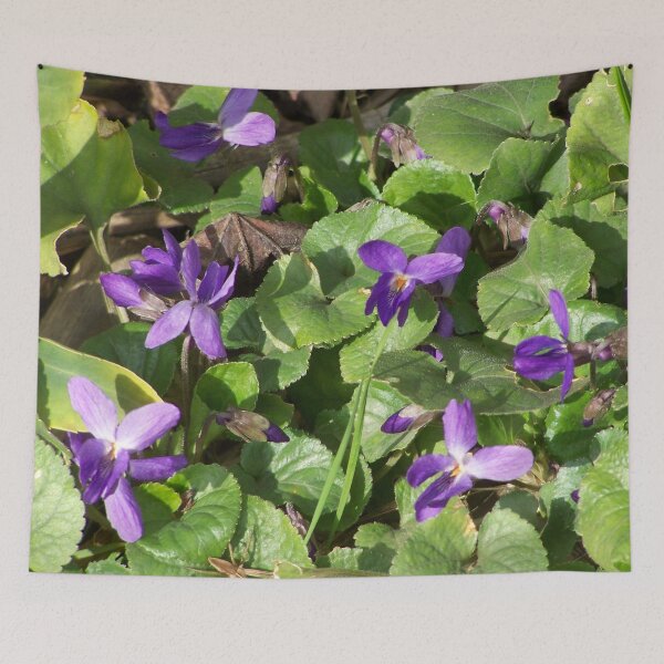 Item preview, Violet with spider designed and sold by Boscastle.