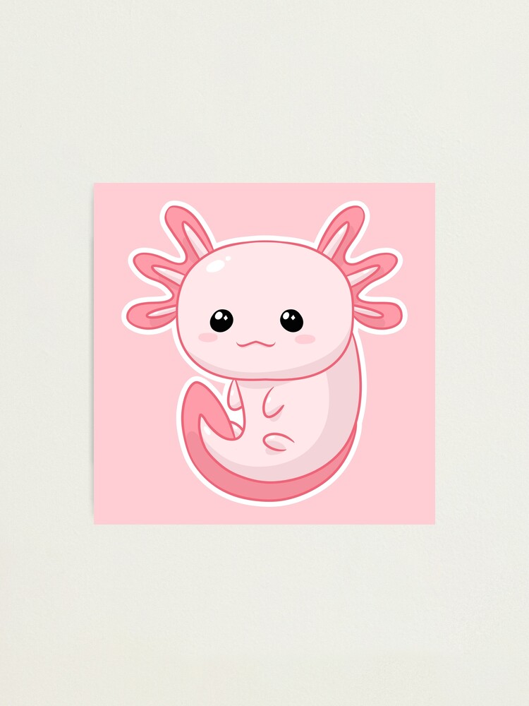 Kawaii Pink Baby Axolotl Photographic Print By Vapcool Redbubble