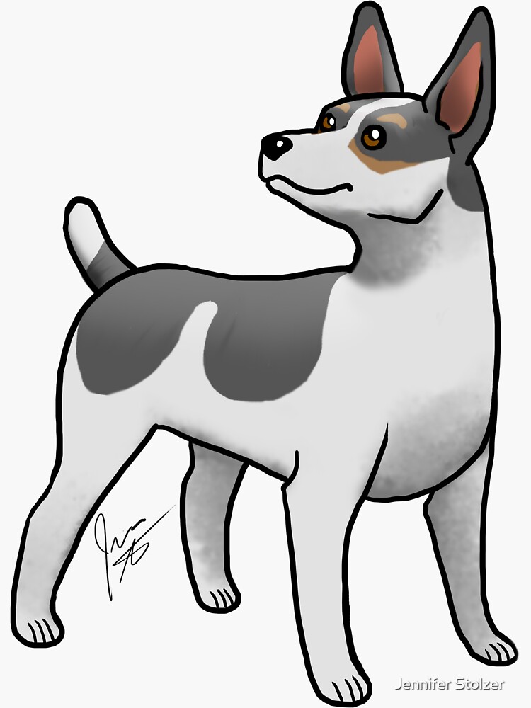 Rat Terrier - Black Tri by jameson9101322