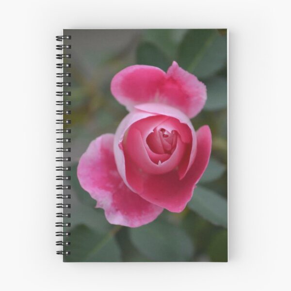 Item preview, Blushing Bloom designed and sold by ReneeKennedy.
