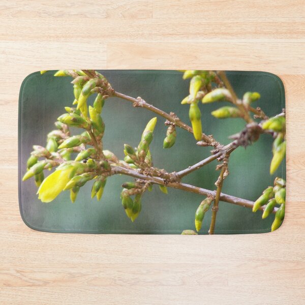 Item preview, Forsythia before blooming designed and sold by Boscastle.