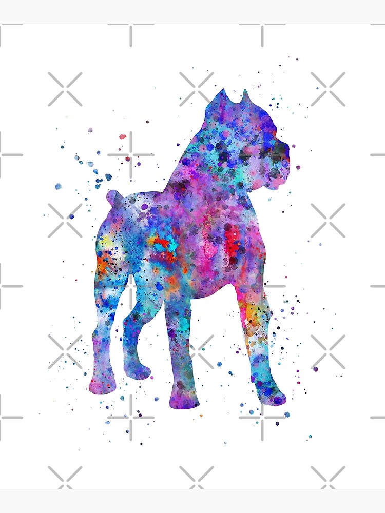 Cane Corso, Cane Corso dog, watercolor Cane Corso by Rosaliartbook