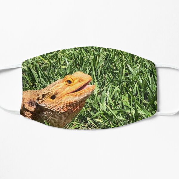 bearded dragon mask