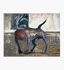 Bad Dog Photographic Print