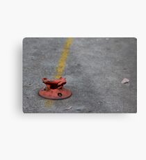 Destroyed parking marker Metal Print