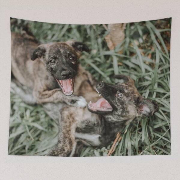 Item preview, Dogs designed and sold by anafrancisconi.