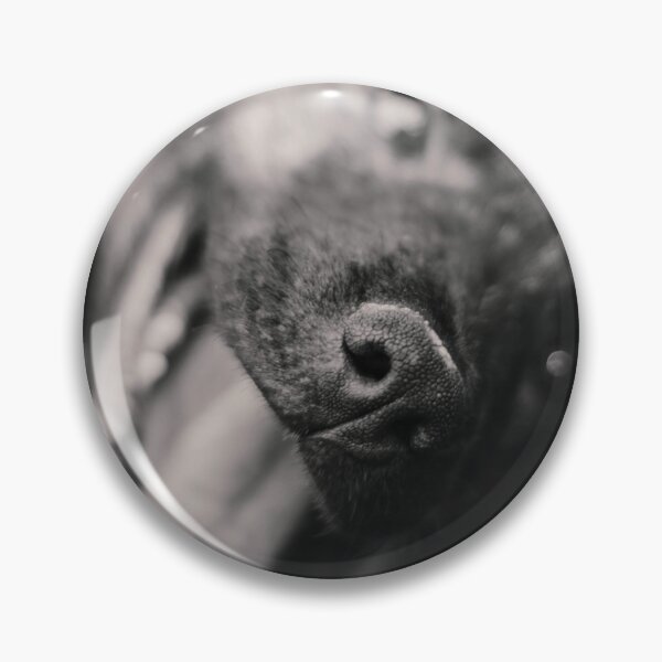 Item preview, Dog designed and sold by anafrancisconi.