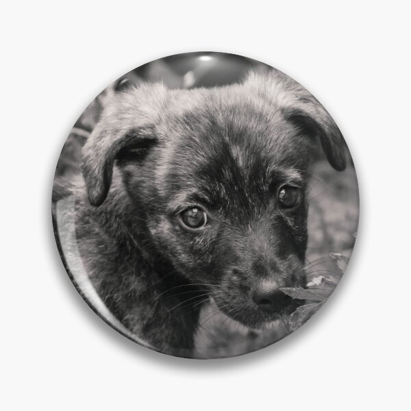Item preview, Cute Dog designed and sold by anafrancisconi.