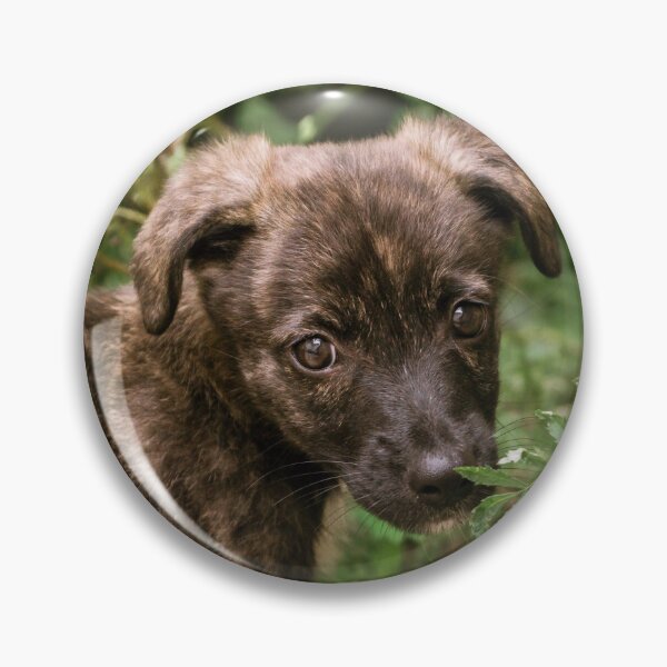 Item preview, Cute Dog designed and sold by anafrancisconi.