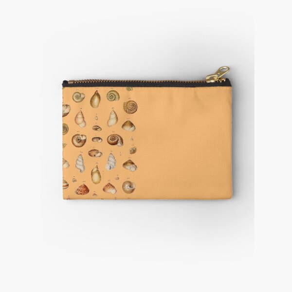Item preview, Australian Marine Sea Shells Vintage Natural History  designed and sold by MoPaws.