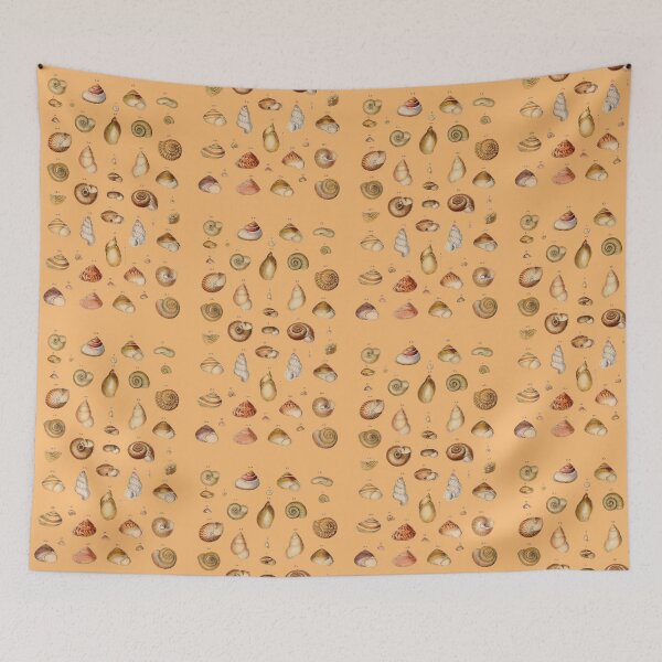 Item preview, Australian Marine Sea Shells Vintage Natural History  designed and sold by MoPaws.