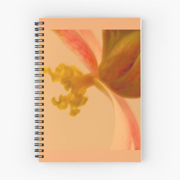 Item preview, Rex Begonia Stamen Macro  designed and sold by Sandra Foster.